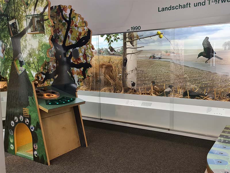 Naturkundeausstellung Kreismuseum Syke