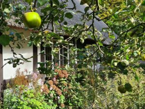 Obstwiese des Kreismuseum Syke
